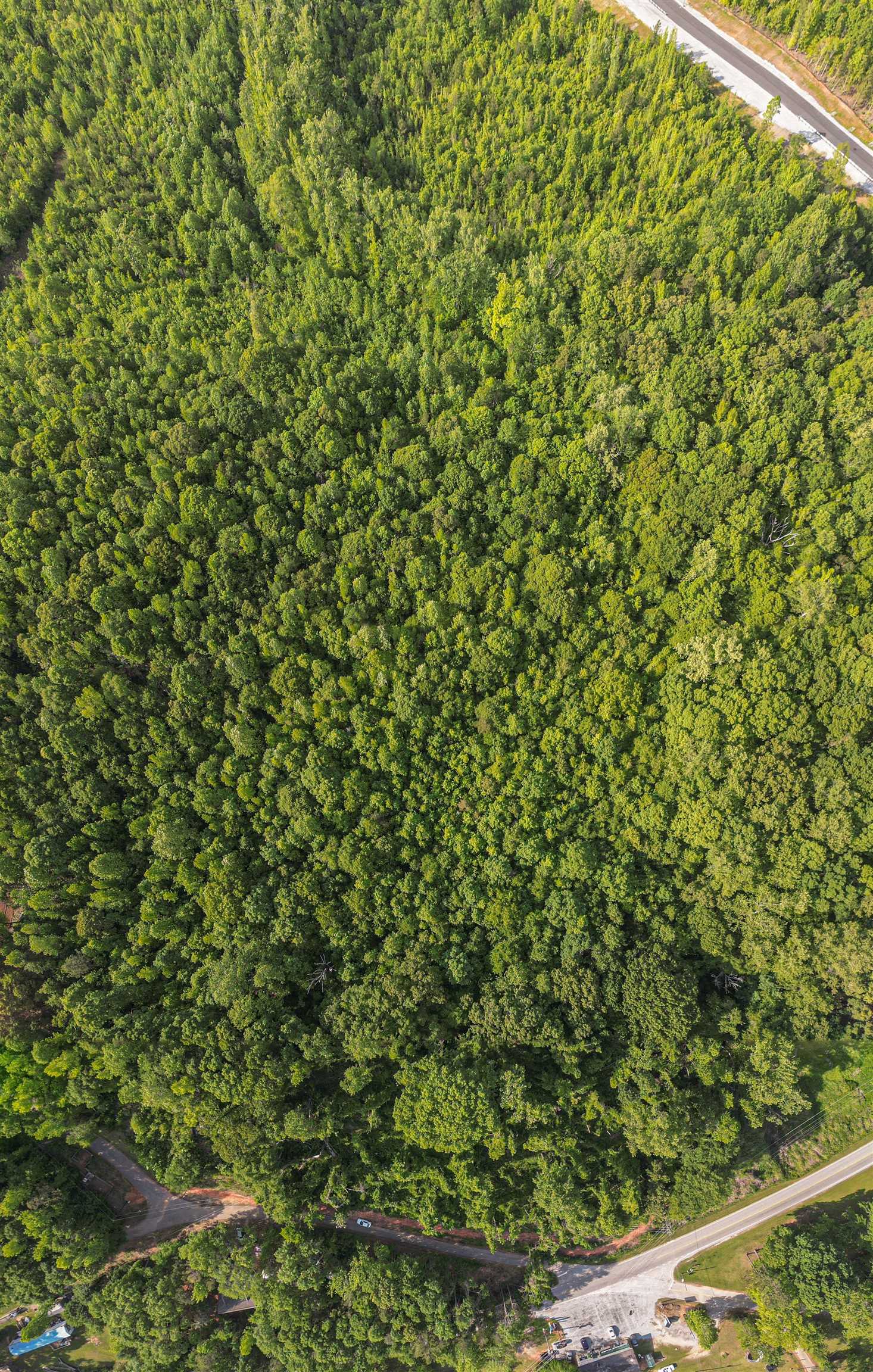 0 Ice House Road Enoree, SC 29335 - Photo 26 of 27