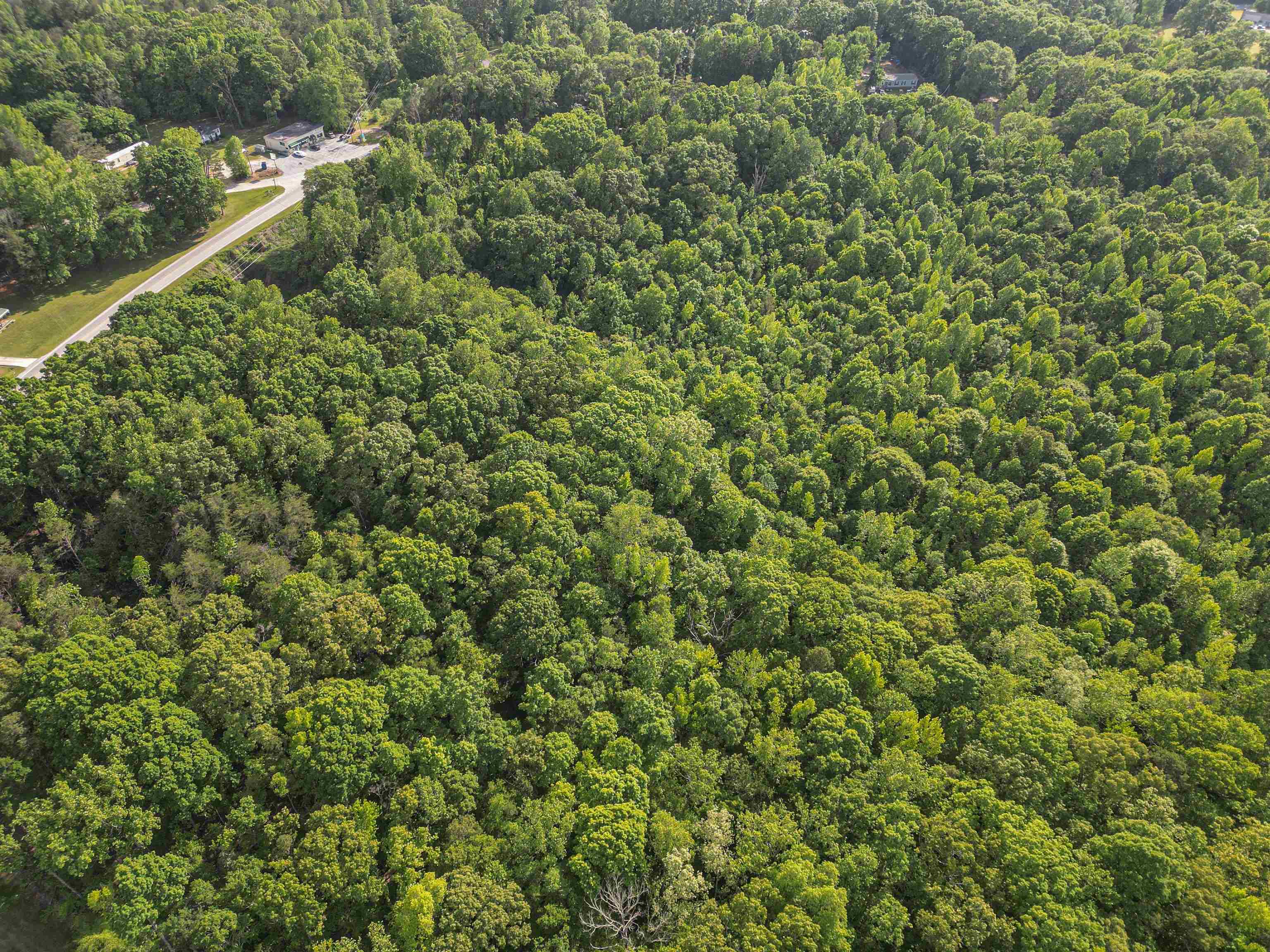 0 Ice House Road Enoree, SC 29335 - Photo 27 of 27