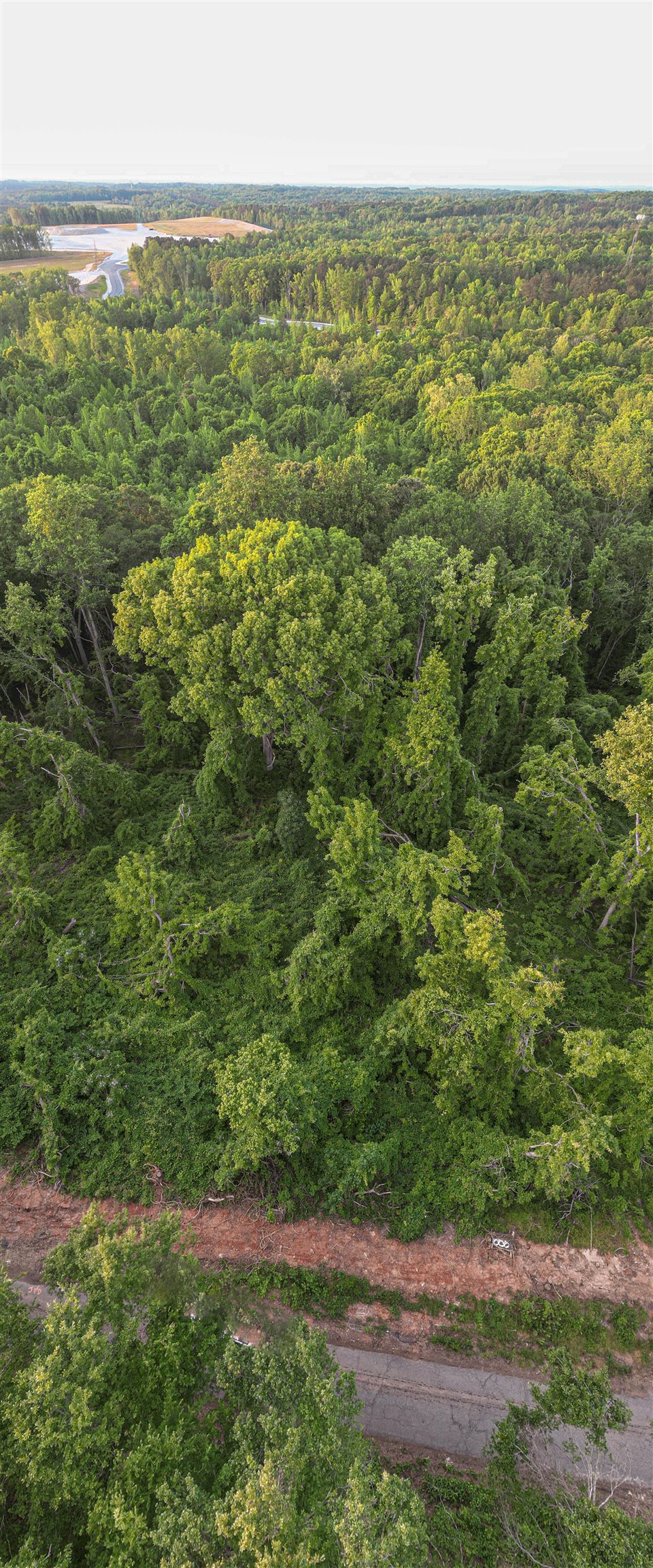 0 Ice House Road Enoree, SC 29335 - Photo 6 of 27