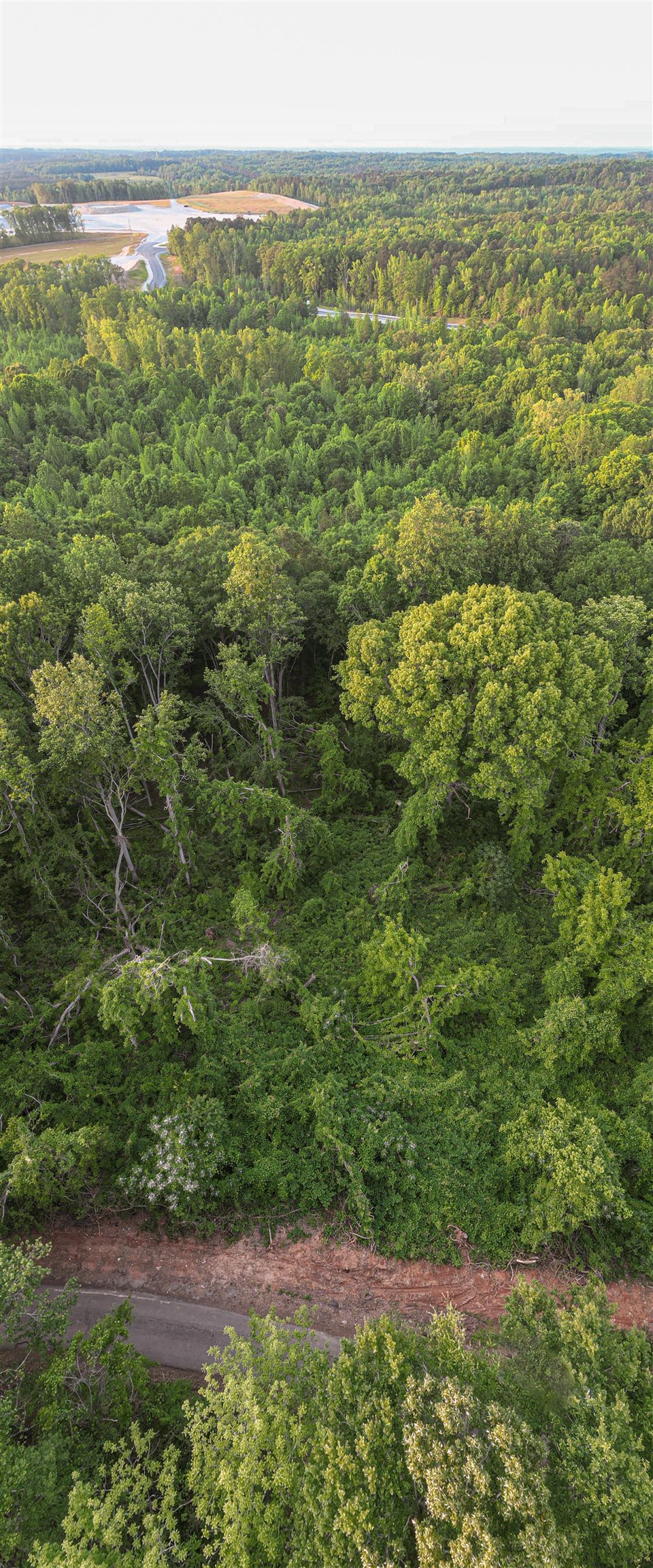0 Ice House Road Enoree, SC 29335 - Photo 8 of 27