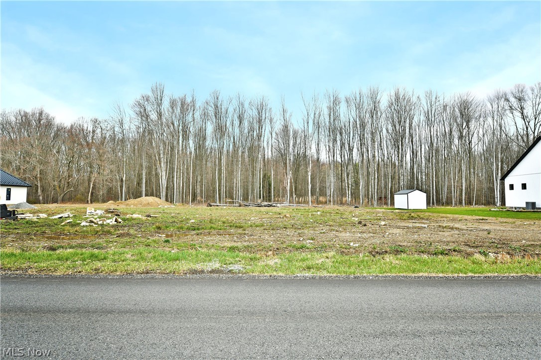 King Graves Road Northeast Warren, OH 44484 - Photo 16 of 16