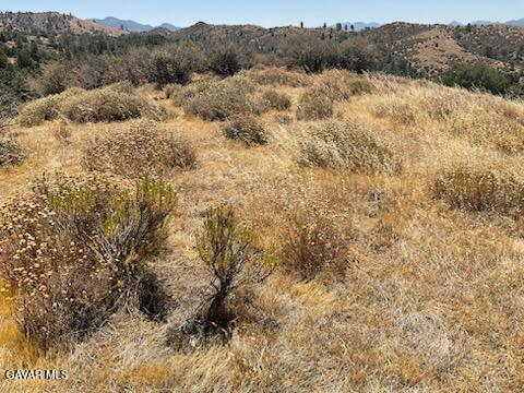 Rancharia Creek Road Caliente, CA 93518 - Photo 3 of 11 a view of a dry yard covered with trees