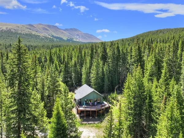 $1,325,000 | 506 County Road 528, Breckenridge, CO 80424