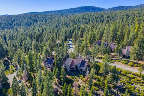 a view of a city with lush green forest