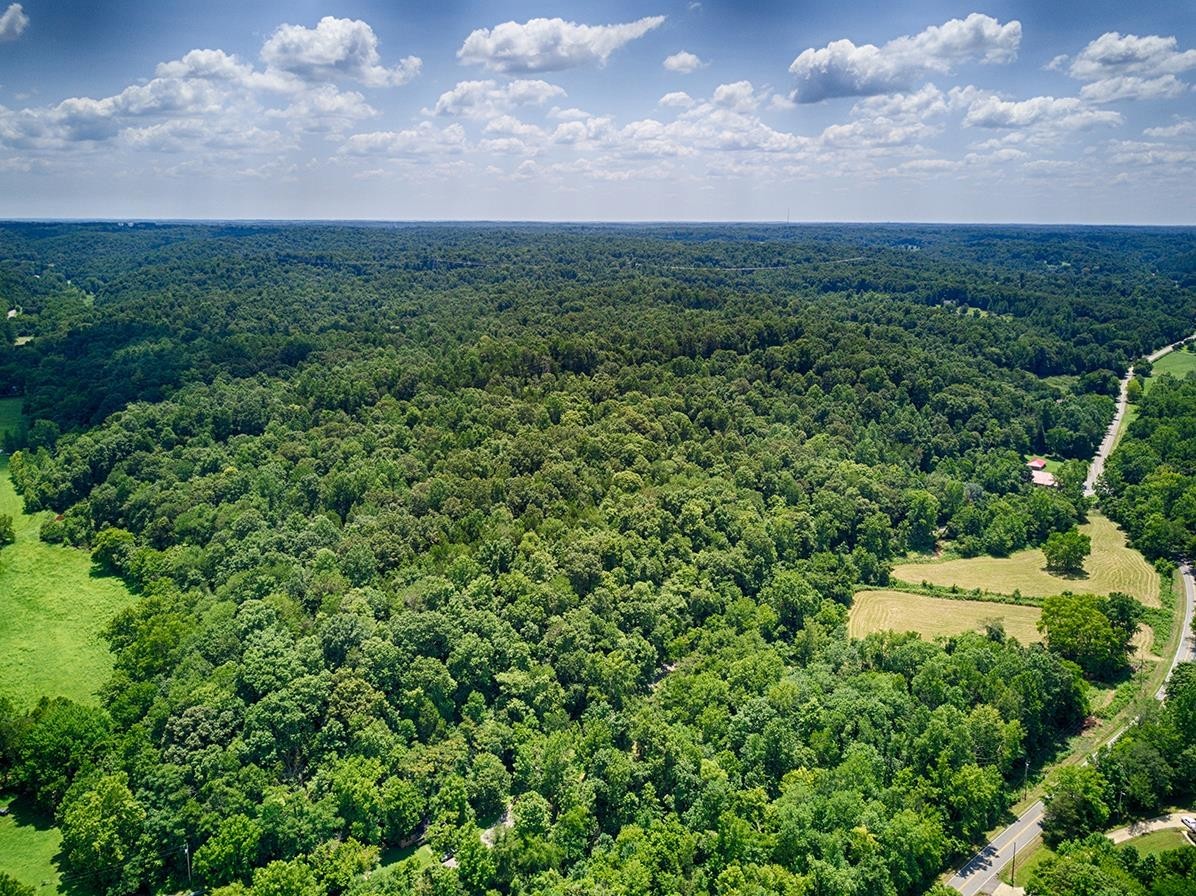 3441 Locust Grove Church Road Cunningham, TN 37052 - Photo 1 of 11 a view of a bunch of trees