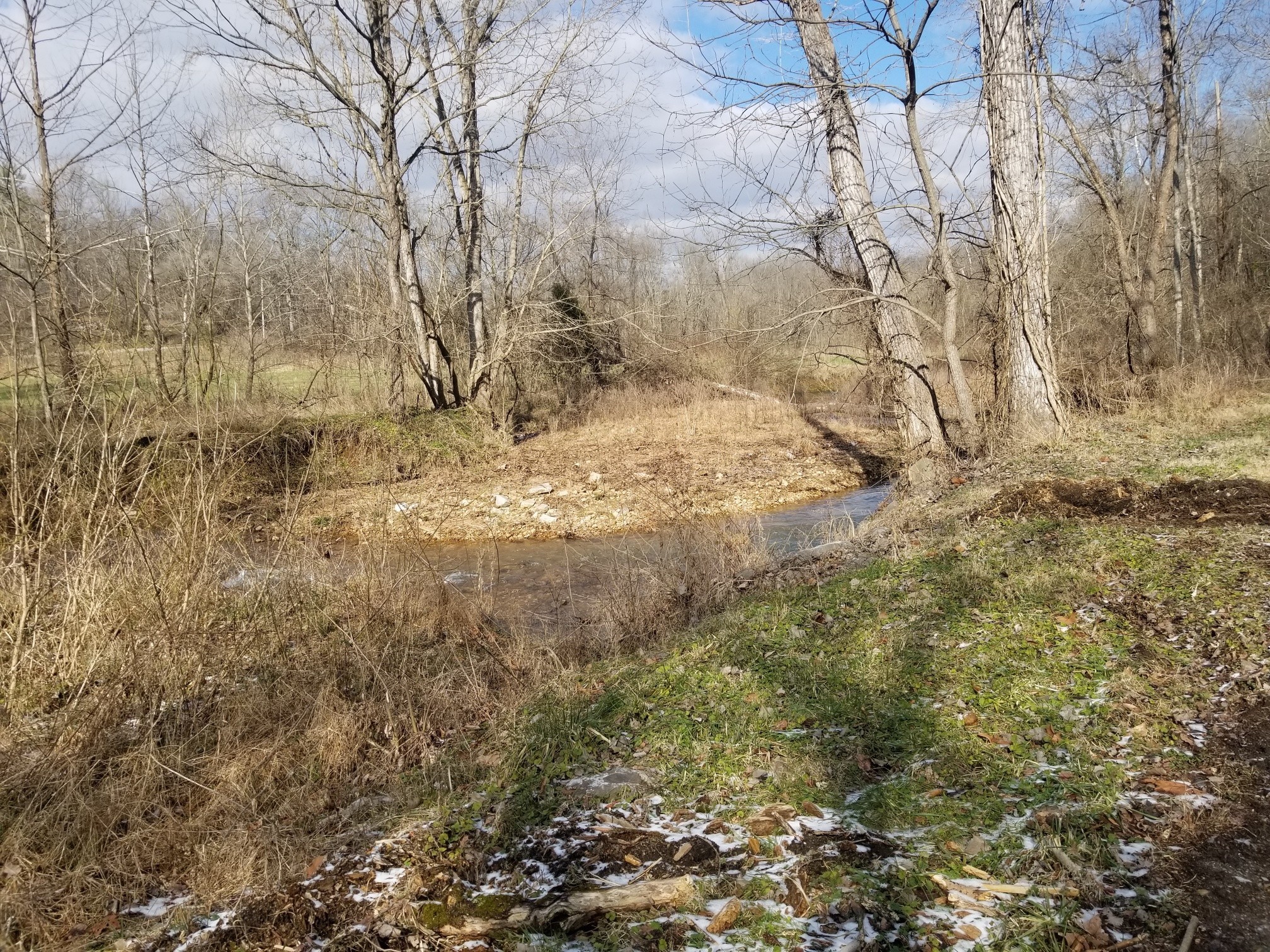 3441 Locust Grove Church Road Cunningham, TN 37052 - Photo 6 of 11 a view of a yard