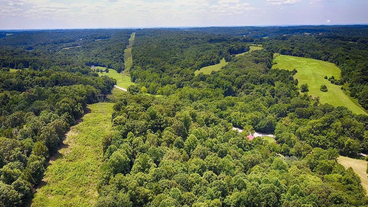 3441 Locust Grove Church Road Cunningham, TN 37052 - Photo 10 of 11 a view of a forest with a street