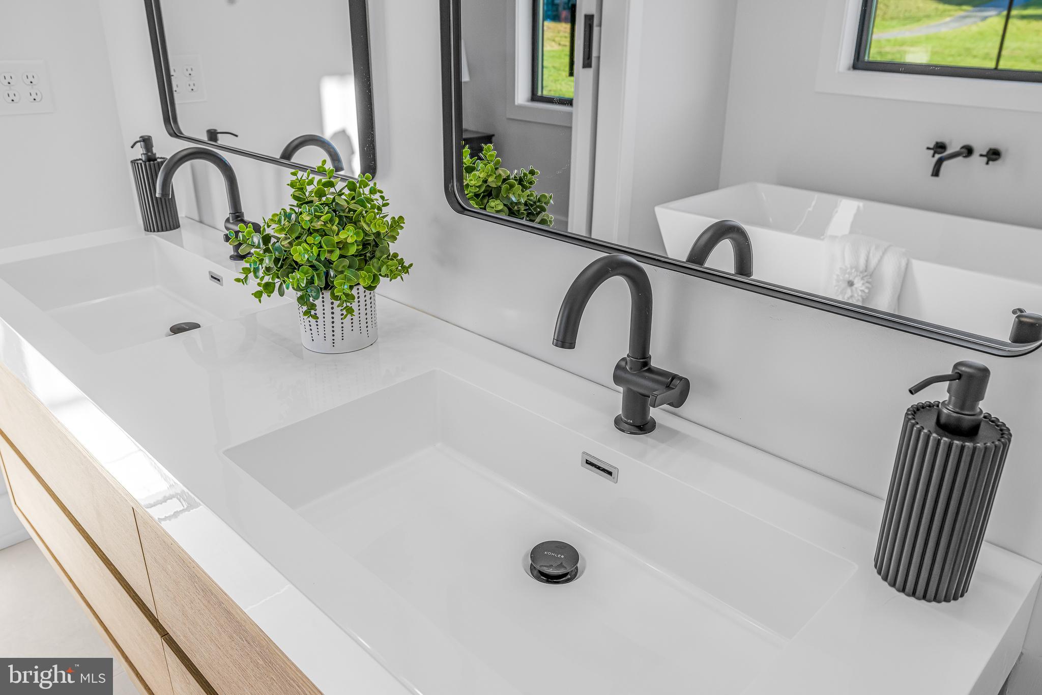 415 Marcus Road Townsend, DE 19734 - Photo 68 of 115 a bathroom with a sink a faucet a potted plant and mirror