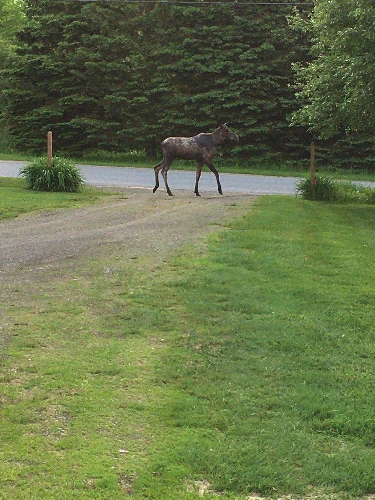 326 Marshall Hill Road Columbia, NH 03576 - Photo 33 of 39