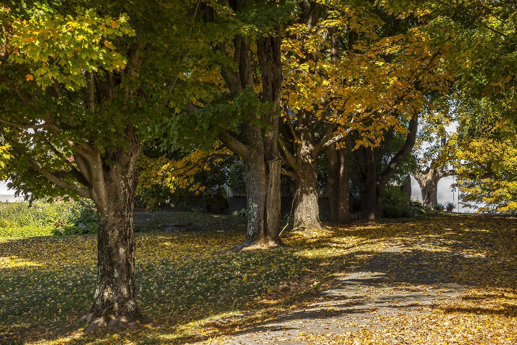 501 Galaxy Hill Road Pomfret, VT 05053 - Photo 18 of 56
