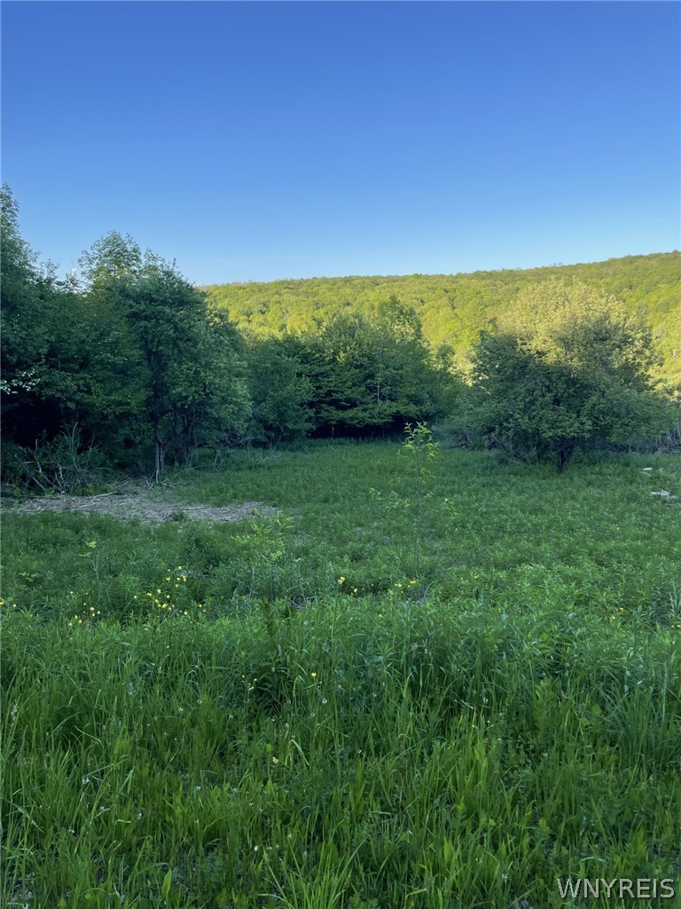 Lost Nations Road Freedom, NY 14065 - Photo 2 of 2
