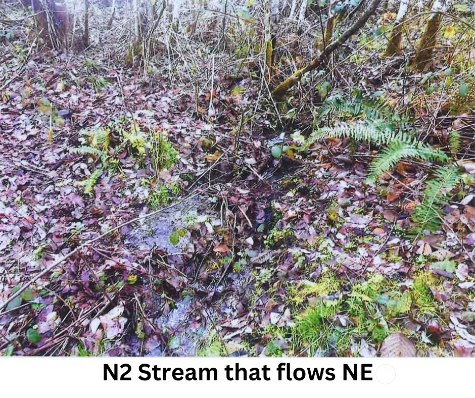 14817 24th Street Southwest Lakebay, WA 98349 - Photo 14 of 18 a view of electric and green space