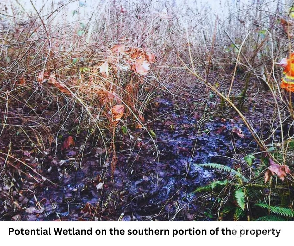 14817 24th Street Southwest Lakebay, WA 98349 - Photo 15 of 18 a black and white photo of a tree