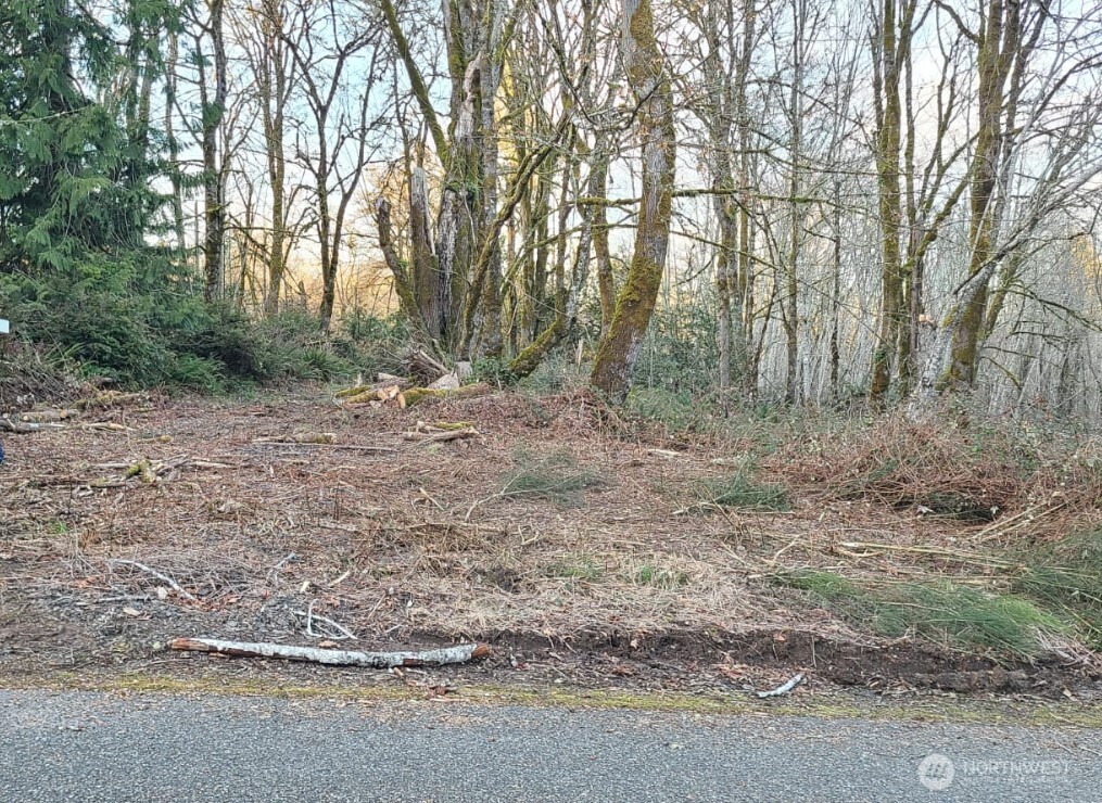 14817 24th Street Southwest Lakebay, WA 98349 - Photo 2 of 18 a view of a yard with trees in the background