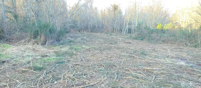 a view of outdoor space with trees