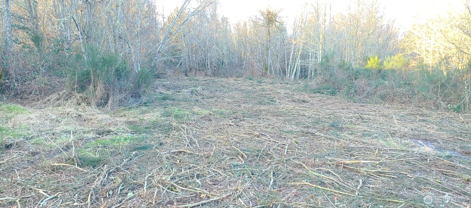 14817 24th Street Southwest Lakebay, WA 98349 - Photo 5 of 18 a view of outdoor space with trees