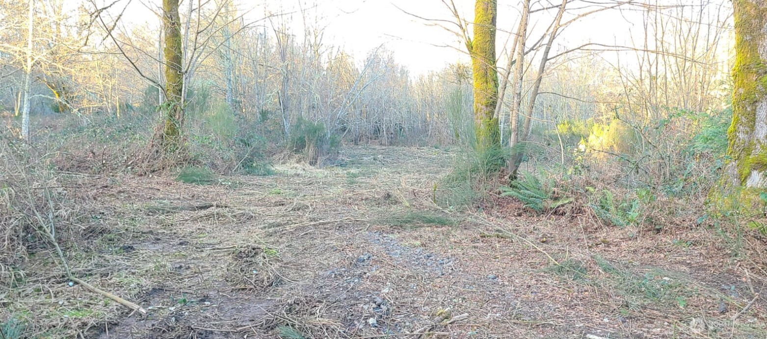 14817 24th Street Southwest Lakebay, WA 98349 - Photo 7 of 18 a view of a yard with trees