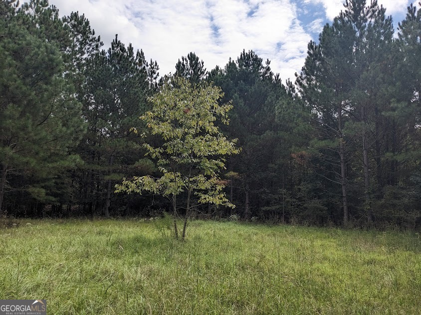 306 Bethesda Church Road Lexington, GA 30648 - Photo 12 of 14