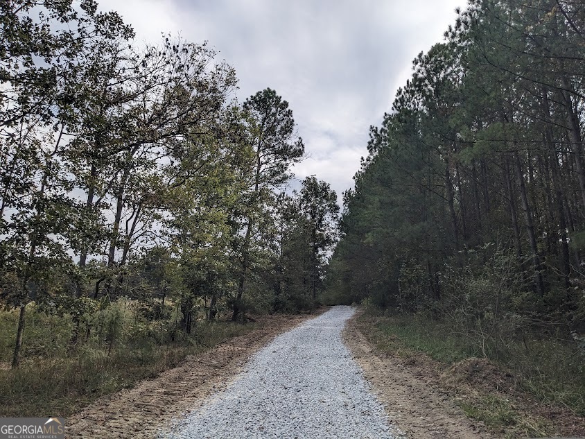 306 Bethesda Church Road Lexington, GA 30648 - Photo 13 of 14