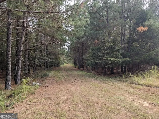 a view of a yard with a tree