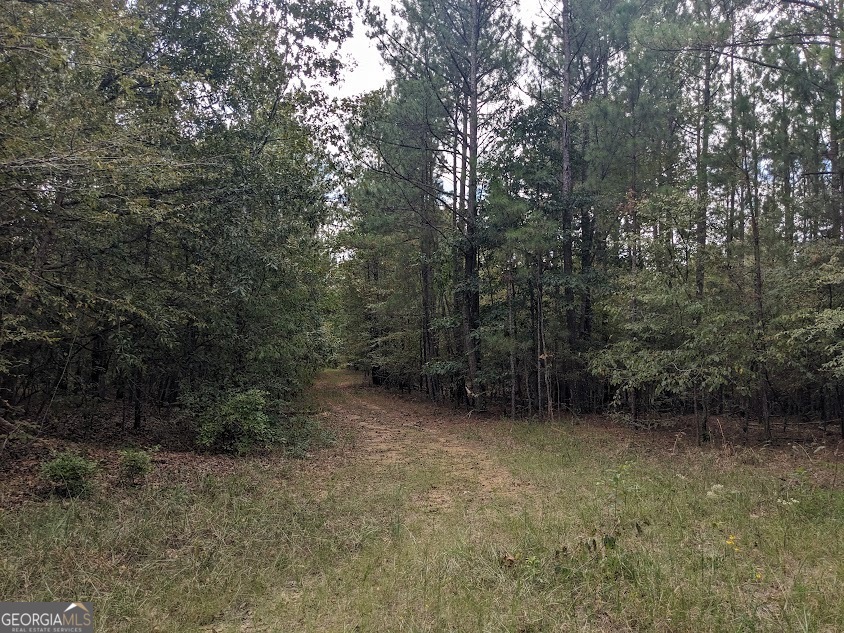 306 Bethesda Church Road Lexington, GA 30648 - Photo 3 of 14