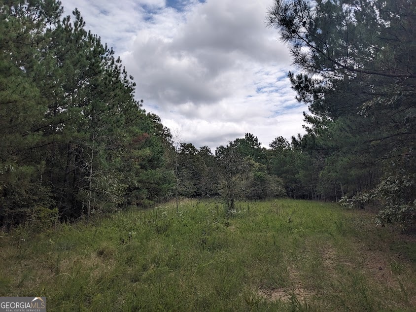 306 Bethesda Church Road Lexington, GA 30648 - Photo 4 of 14