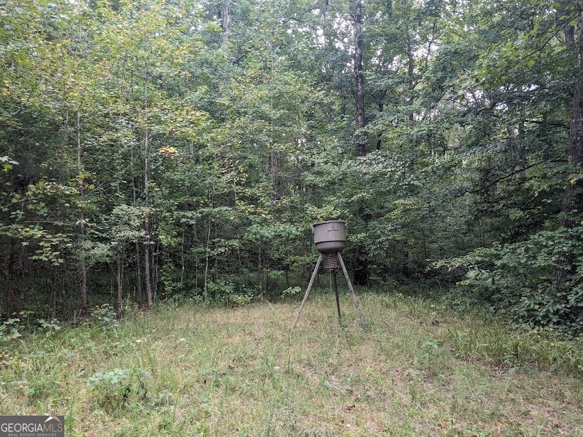 306 Bethesda Church Road Lexington, GA 30648 - Photo 7 of 14