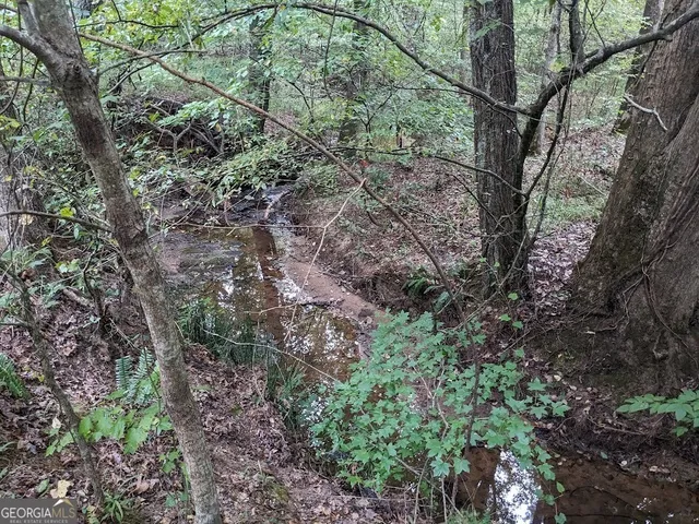 a view of a large yard with lots of green space