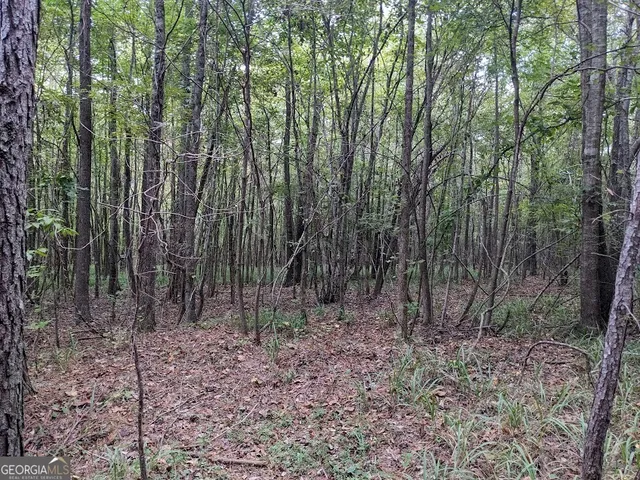 a view of outdoor space and green space