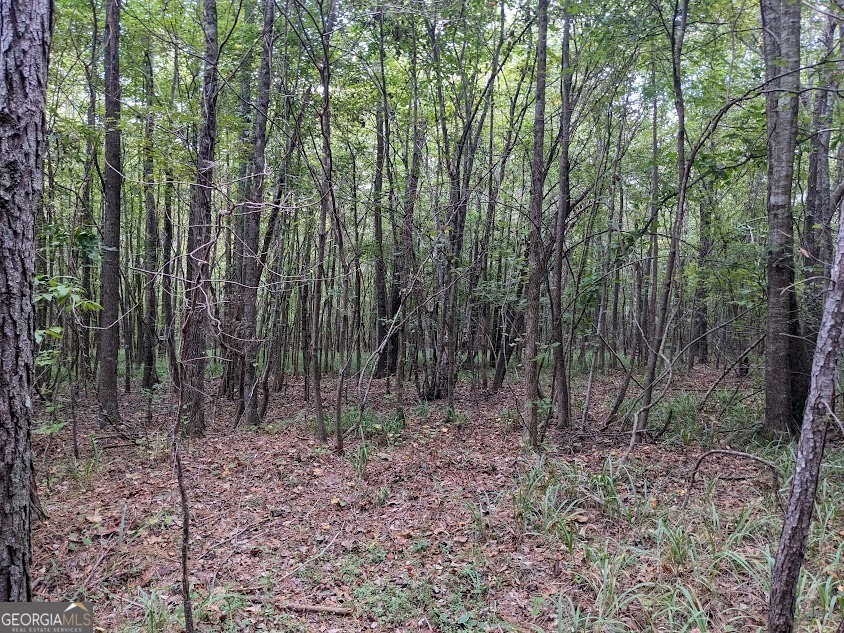 306 Bethesda Church Road Lexington, GA 30648 - Photo 9 of 14