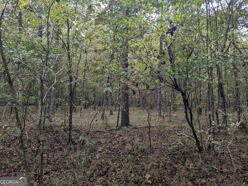 306 Bethesda Church Road Lexington, GA 30648 - Photo 10 of 14