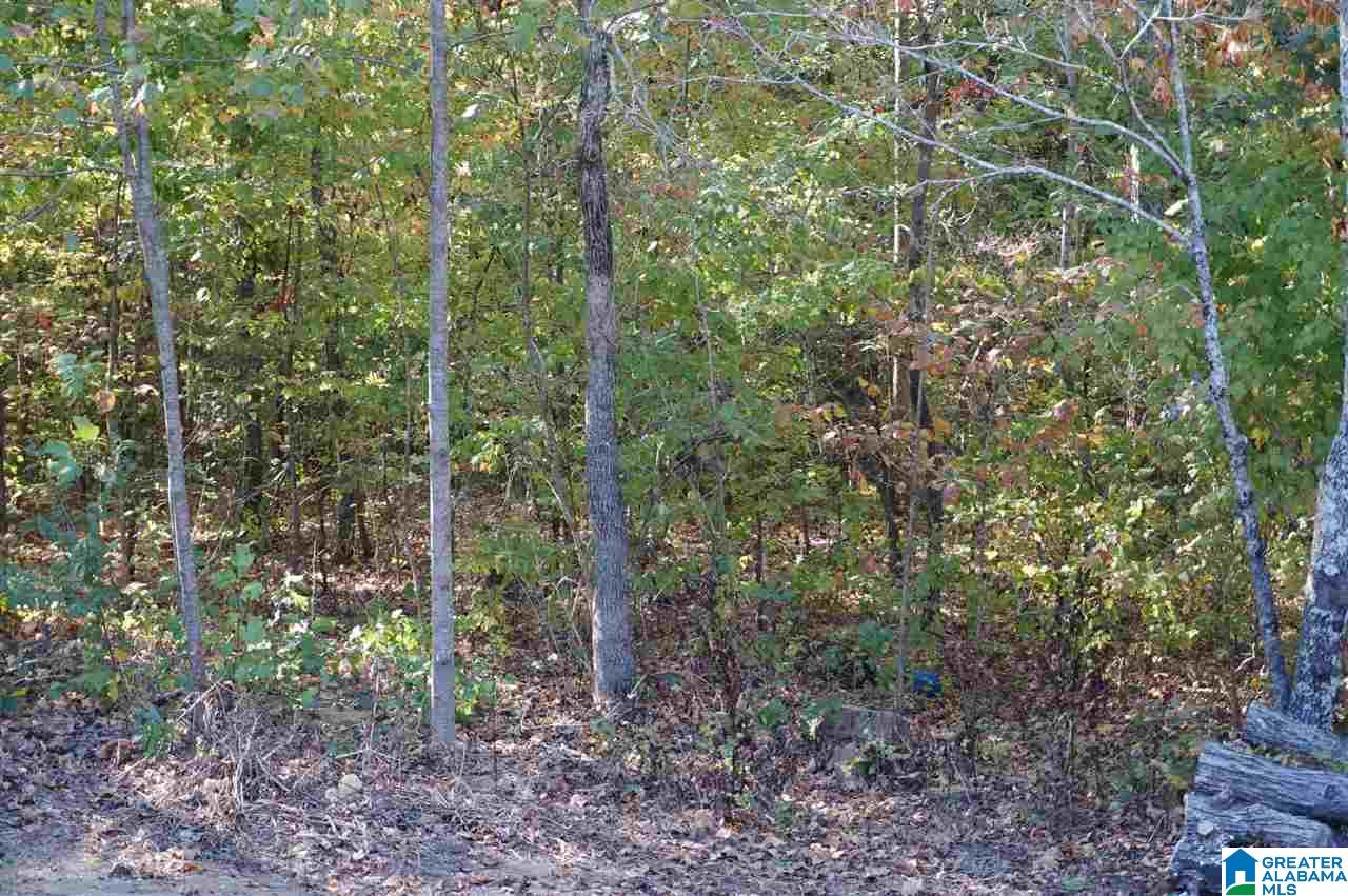 398 Fossil Rock Road Springville, AL 35146 - Photo 40 of 42