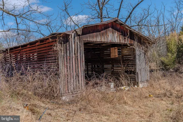 a view of a backyard with large trees