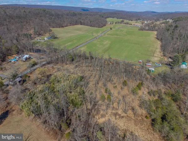 a view of a field with a forest