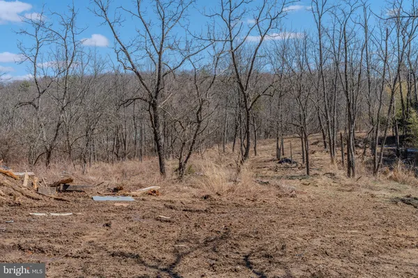 a view of backyard with green space