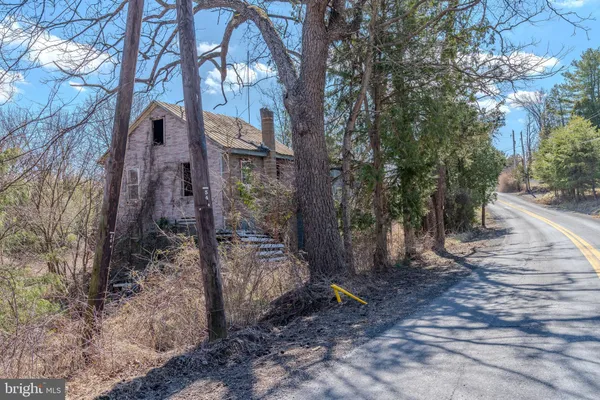 a view of a yard with trees