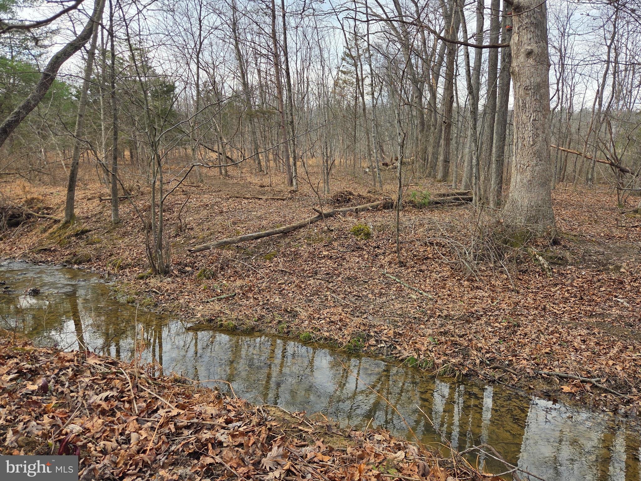 1237 Buckwheat Road Millerstown, PA 17062 - Photo 26 of 66