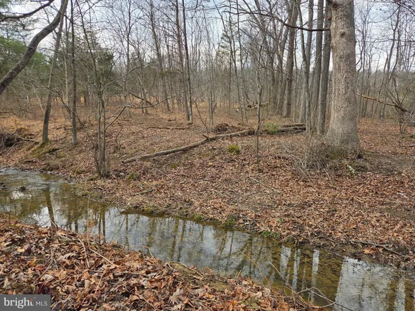 a view of a yard with trees