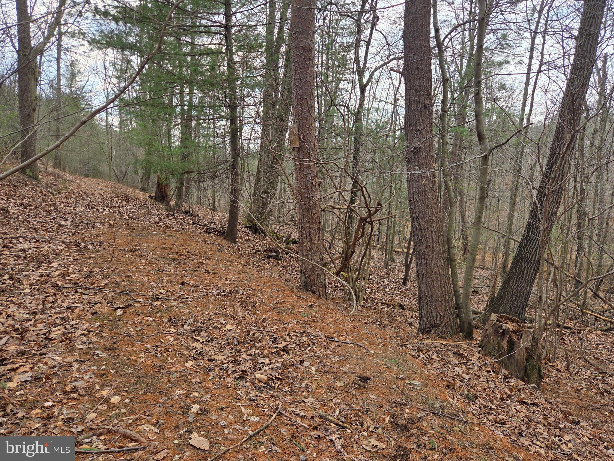 1237 Buckwheat Road Millerstown, PA 17062 - Photo 28 of 66