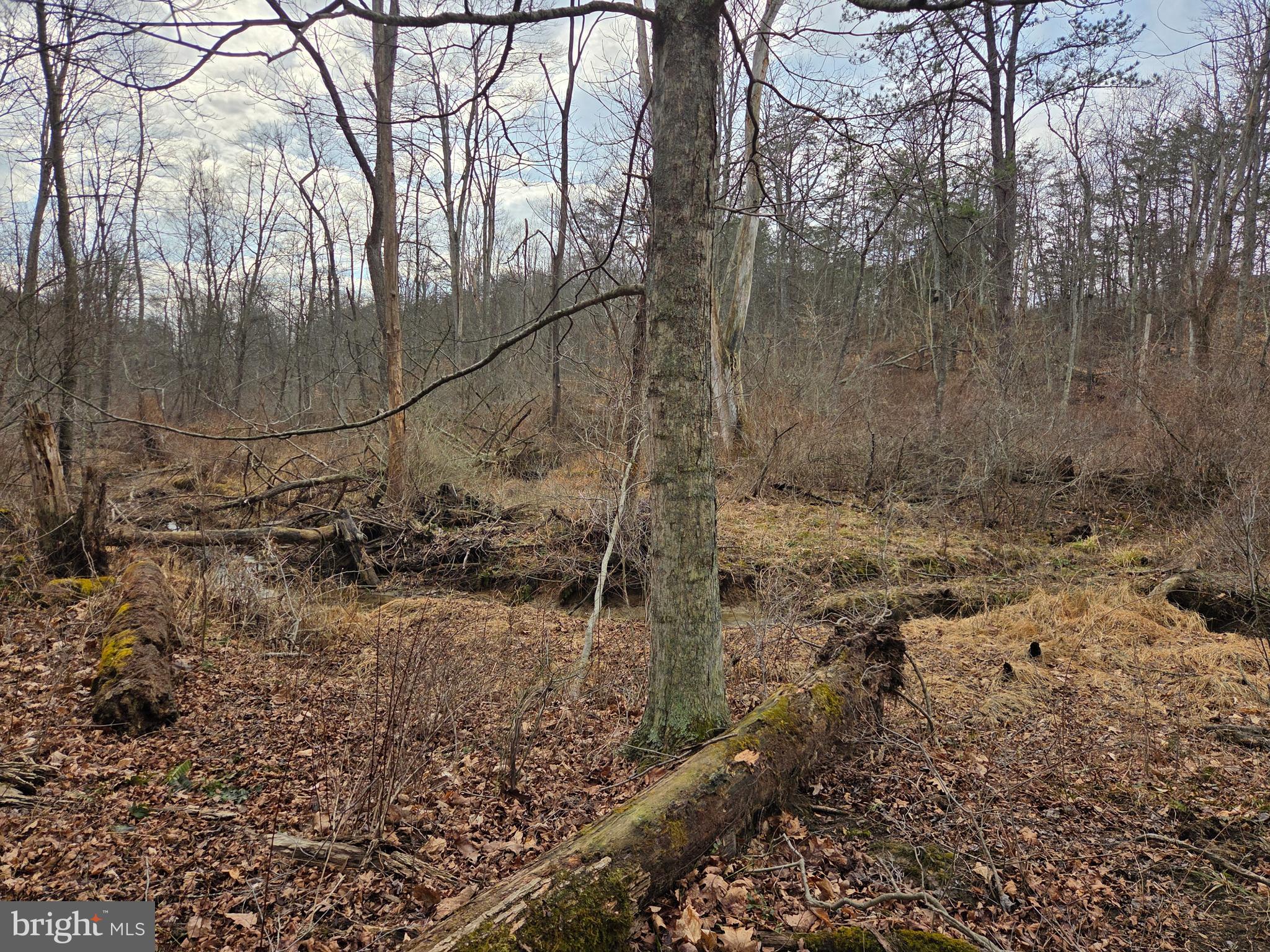 1237 Buckwheat Road Millerstown, PA 17062 - Photo 29 of 66