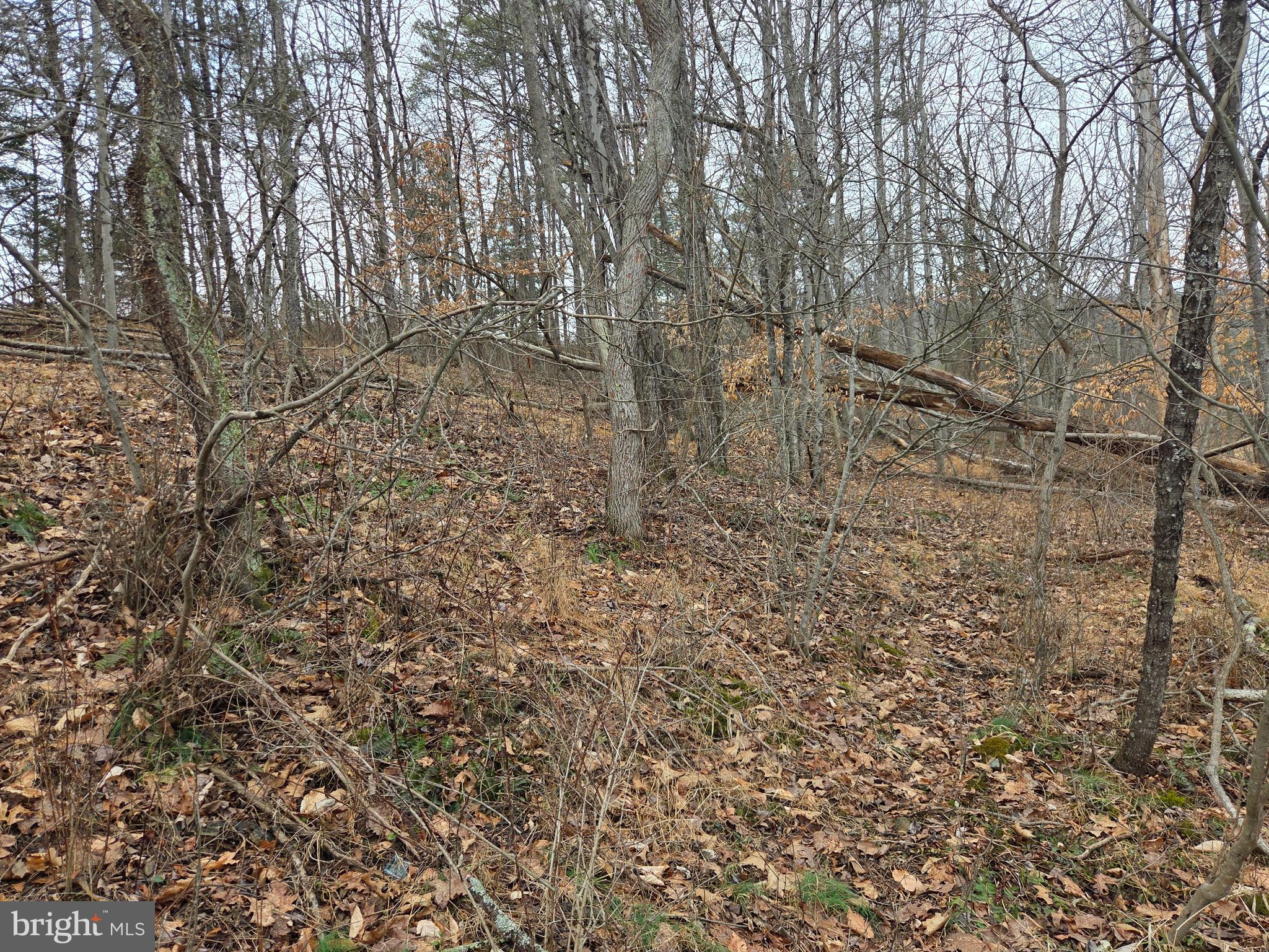 1237 Buckwheat Road Millerstown, PA 17062 - Photo 31 of 66