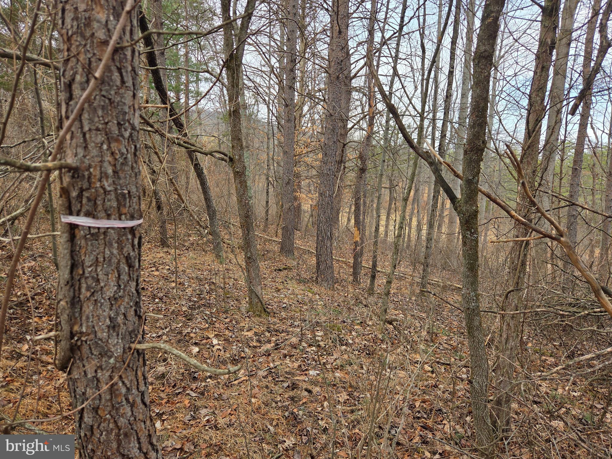 1237 Buckwheat Road Millerstown, PA 17062 - Photo 32 of 66