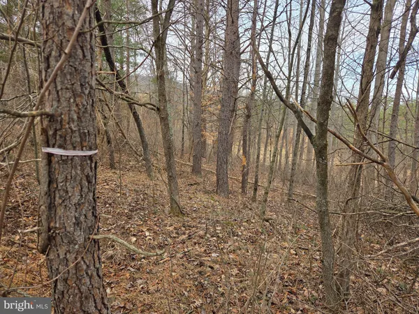 a view of a patio with a table and chairs under an umbrella