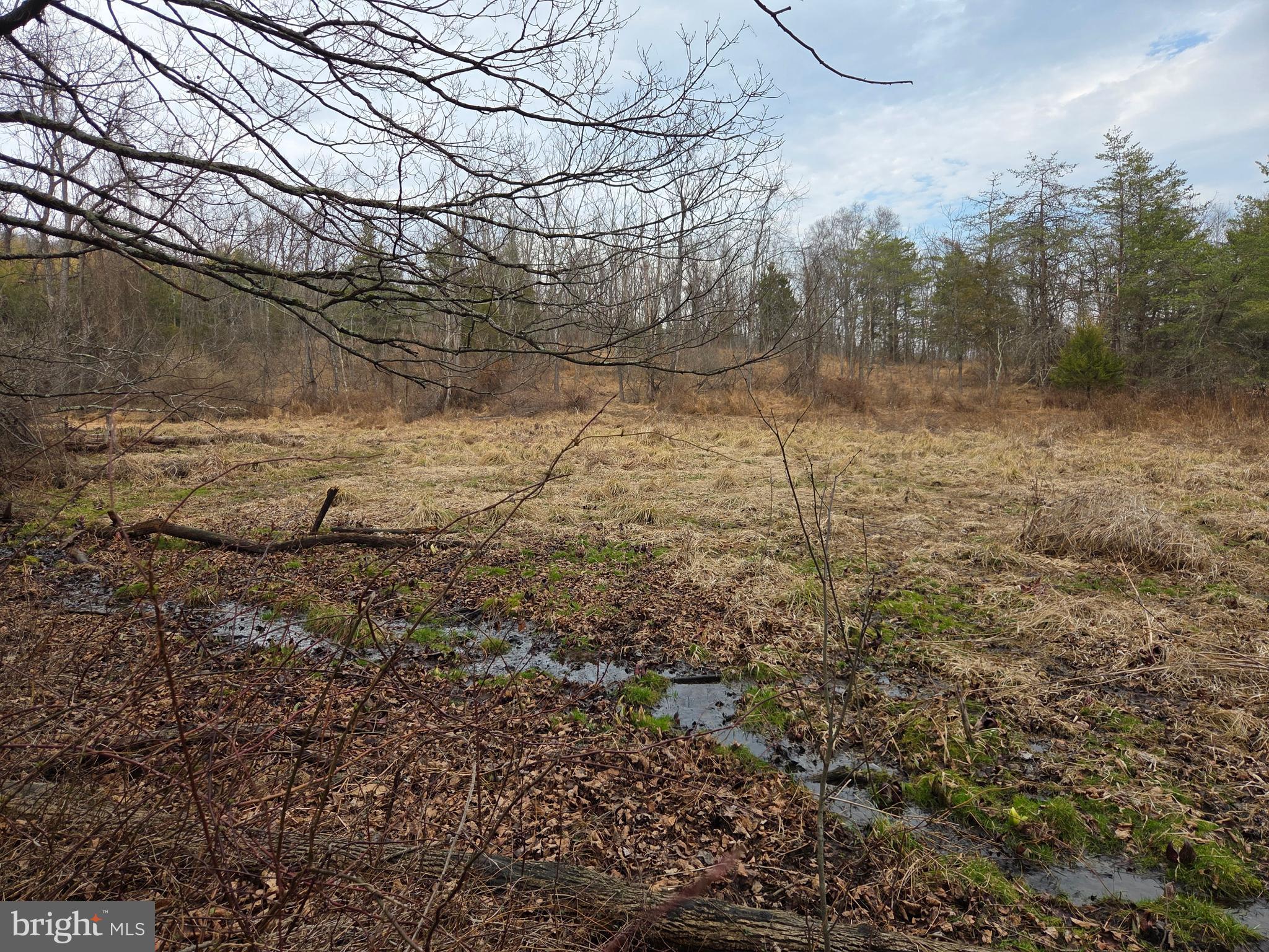 1237 Buckwheat Road Millerstown, PA 17062 - Photo 34 of 66