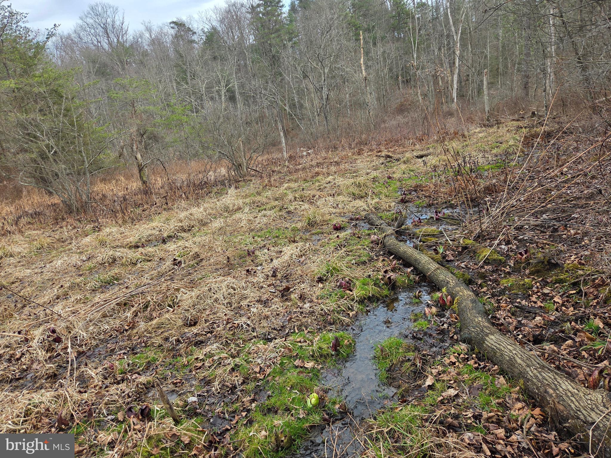 1237 Buckwheat Road Millerstown, PA 17062 - Photo 35 of 66