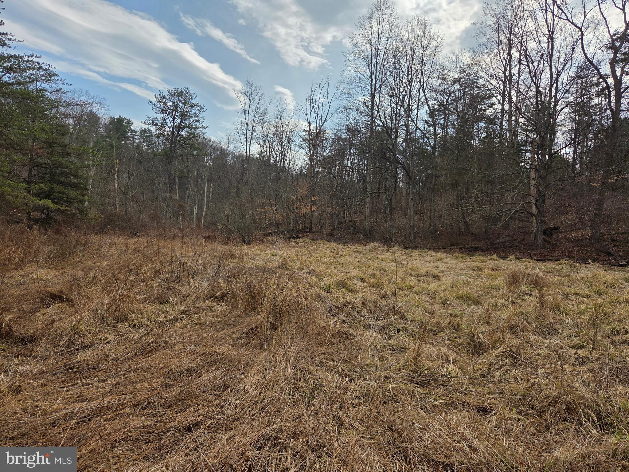 1237 Buckwheat Road Millerstown, PA 17062 - Photo 36 of 66