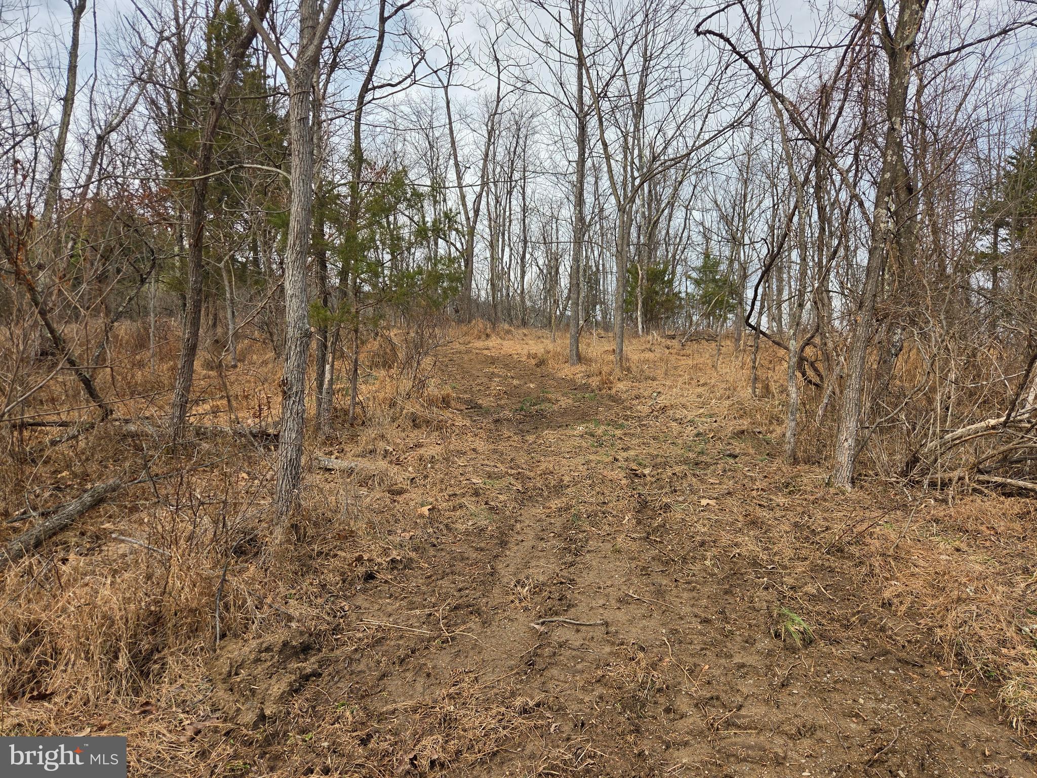 1237 Buckwheat Road Millerstown, PA 17062 - Photo 37 of 66