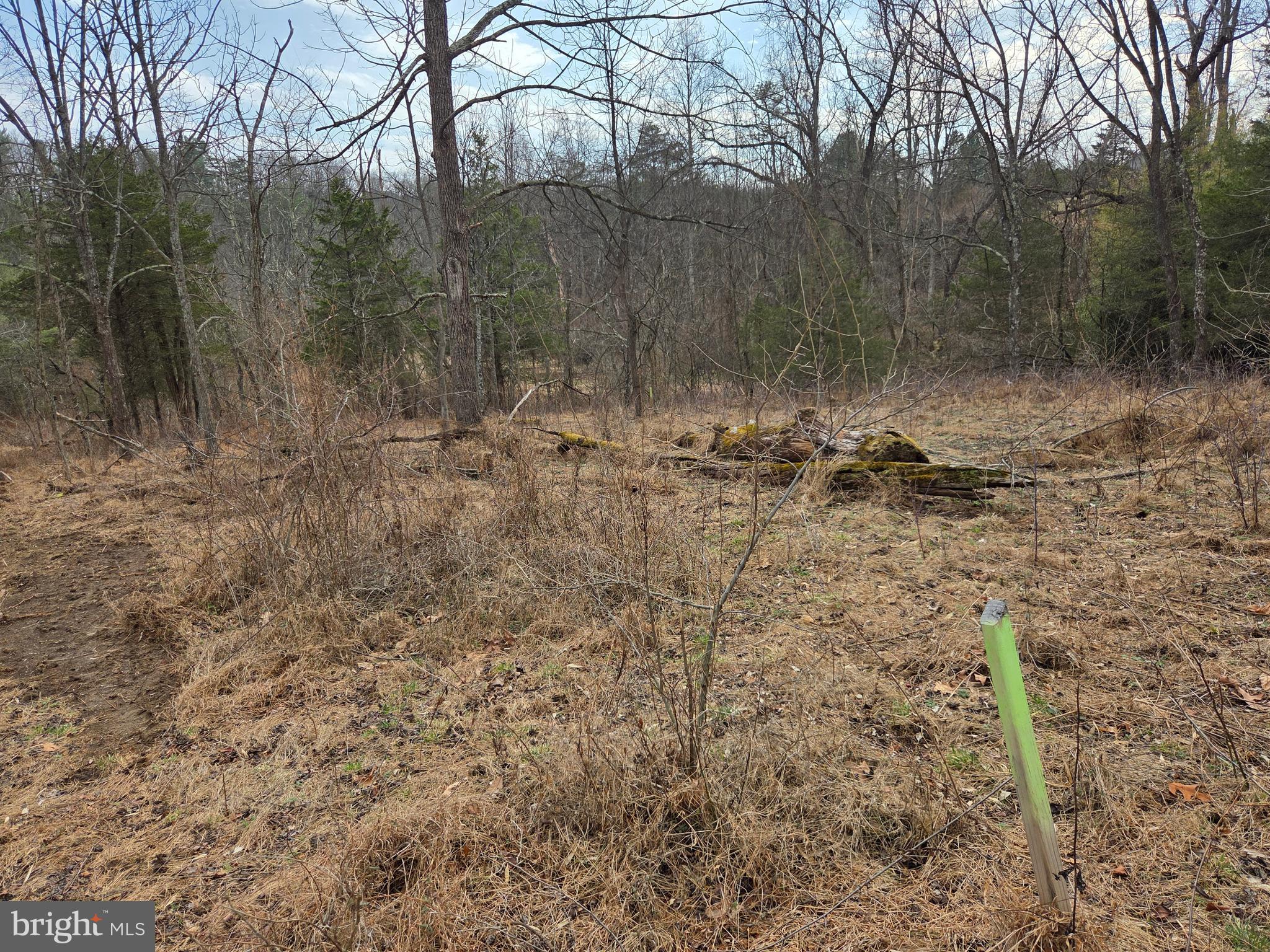 1237 Buckwheat Road Millerstown, PA 17062 - Photo 38 of 66