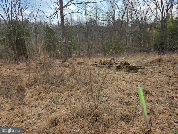 a green field with lots of trees in the background