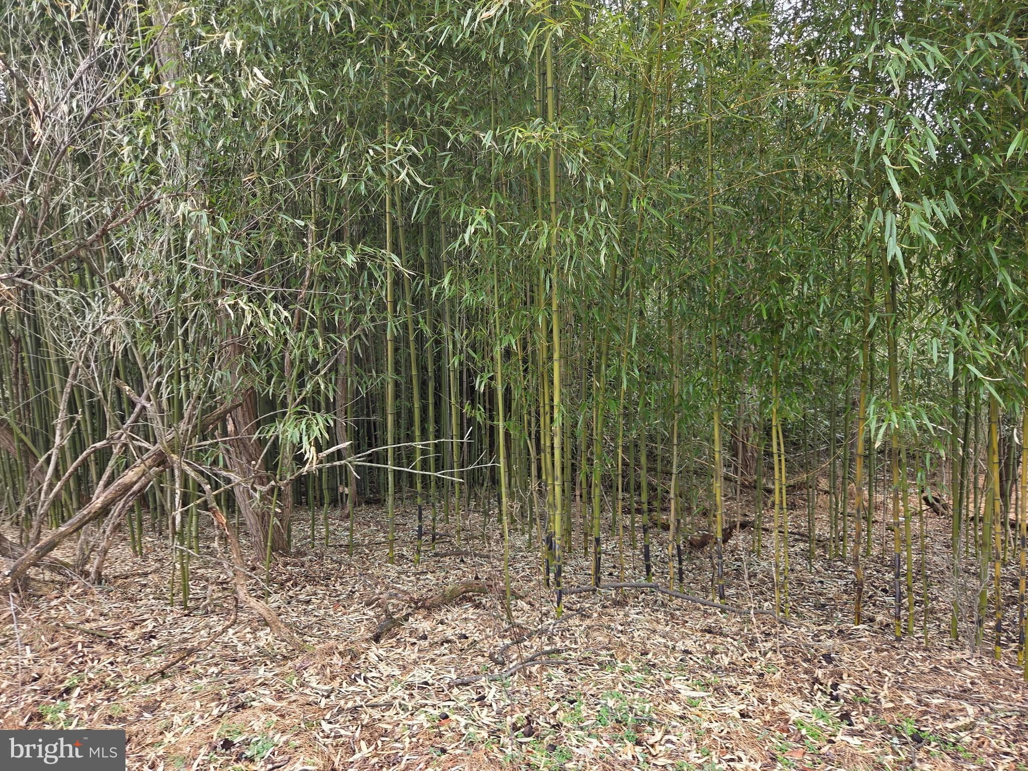 1237 Buckwheat Road Millerstown, PA 17062 - Photo 39 of 66